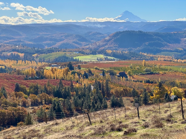 View from the top of "Chatfield Hill," behind the family farm.